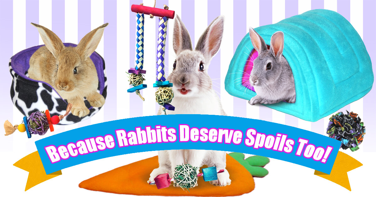 rabbit toys and supplies