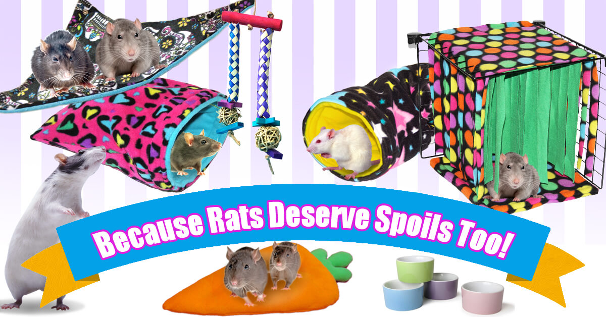 pet rat cage accessories