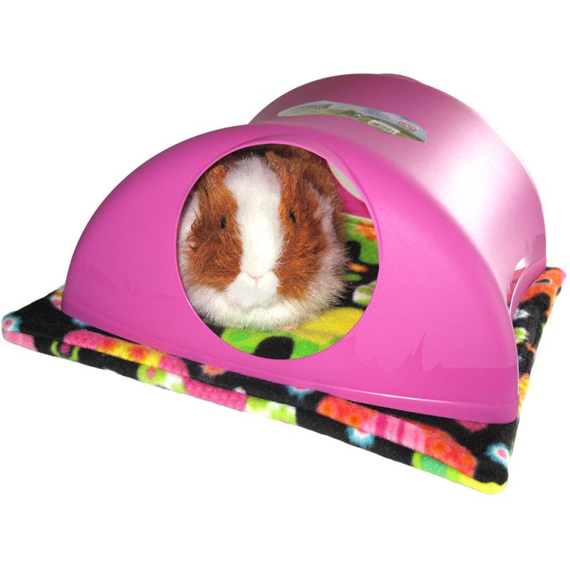 Pigloo hot sale guinea pig