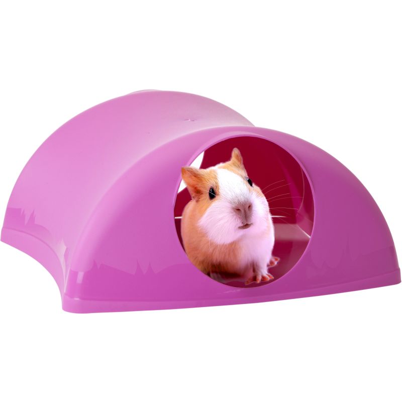 pink guinea pig